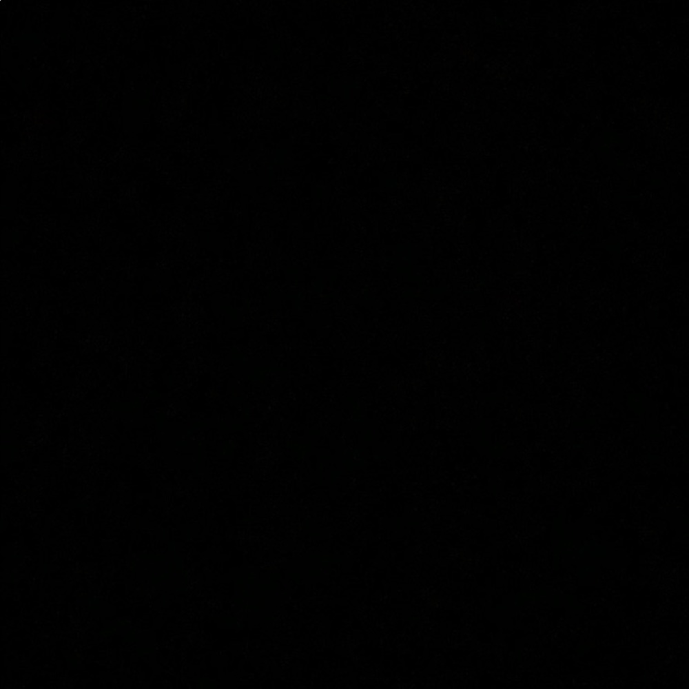 Meet your Posher, Aisha